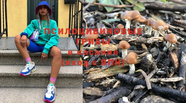 прущие крисы Верея
