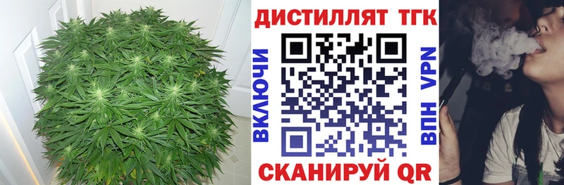 Купить закладки  Николаевск-на-Амуре  ТГК концентрат 