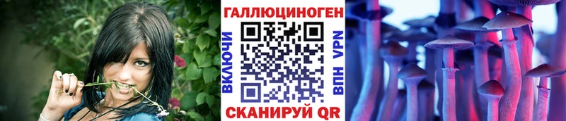 Купить закладки  Николаевск-на-Амуре  Галлюциногенные грибы Magic Shrooms 